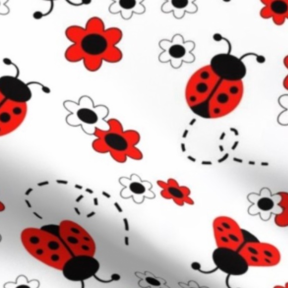 ladybug1331